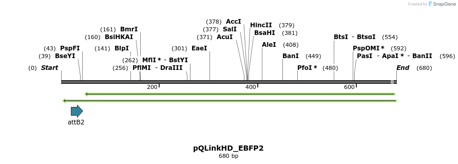 224639_map