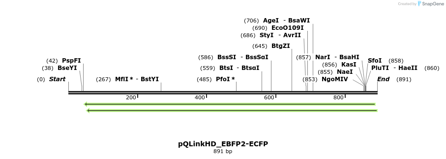 224641_map