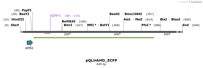 224646_map
