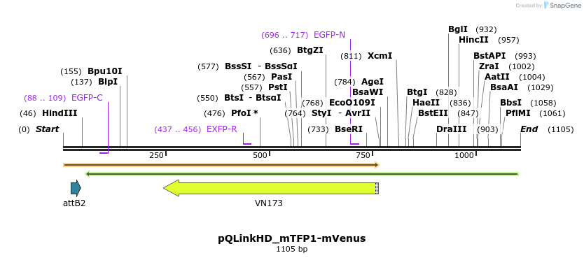 224649_map