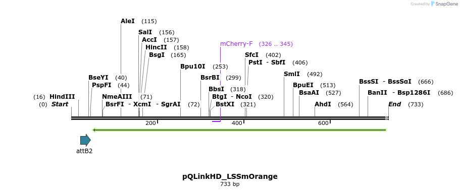 224650_map
