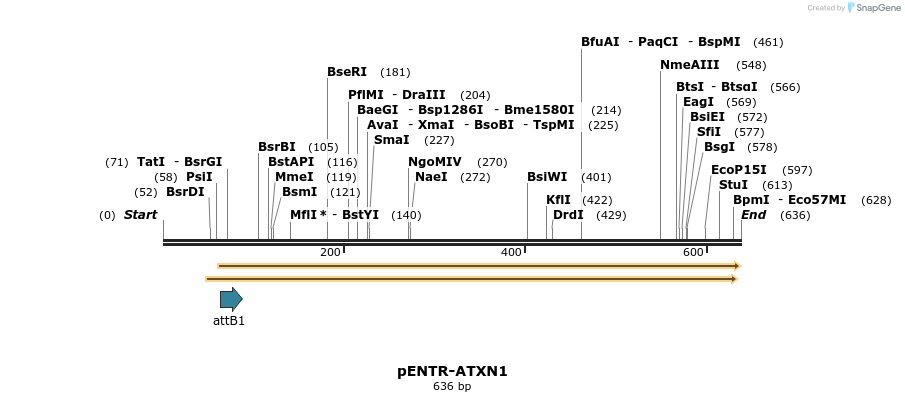 22467_map