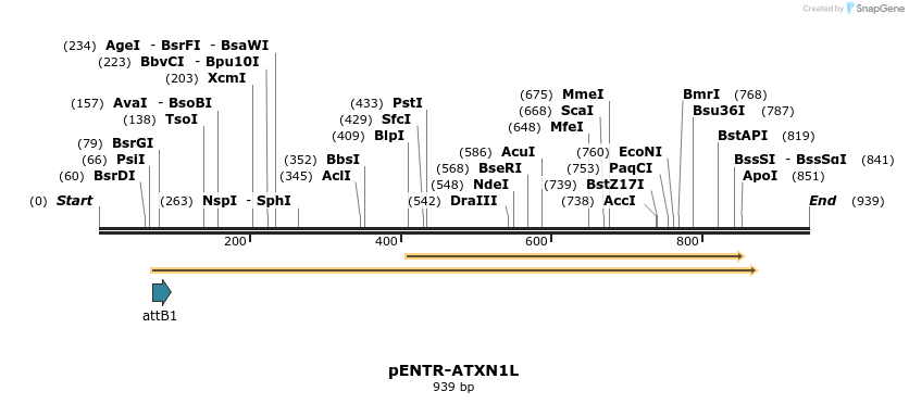 22468_map
