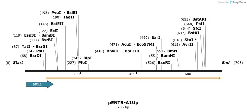 22472_map