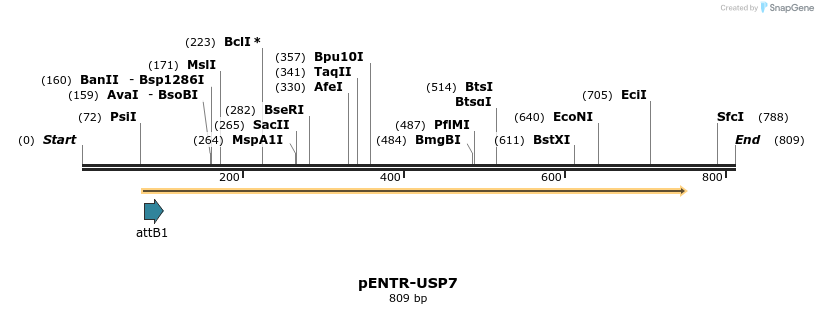 22474_map