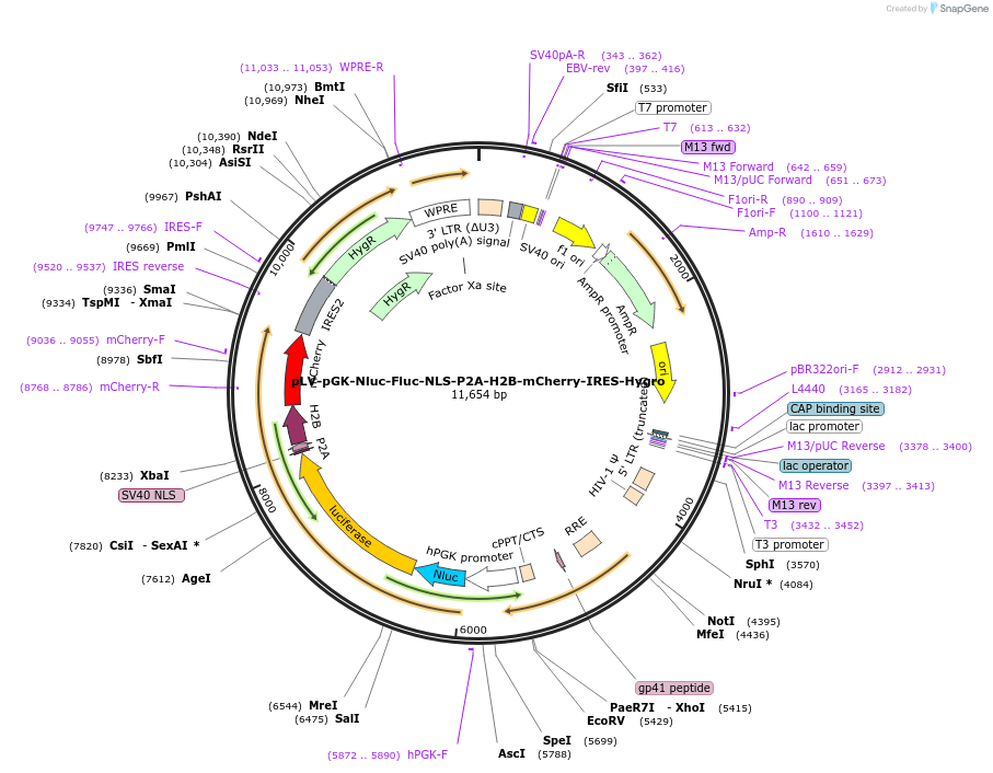 224742_map