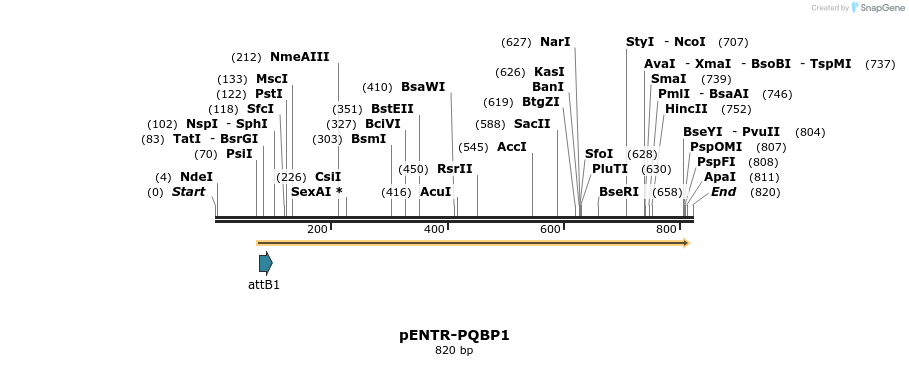 22476_map