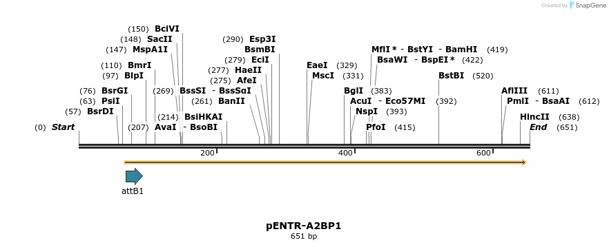 22477_map