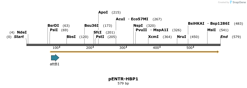 22479_map