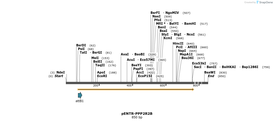 22482_map