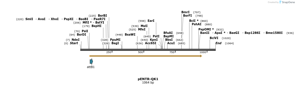 22484_map