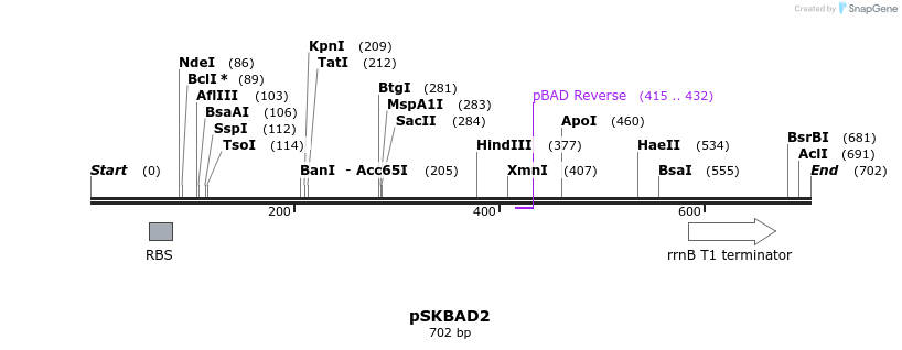 22486_map