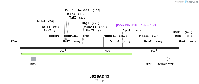 22487_map
