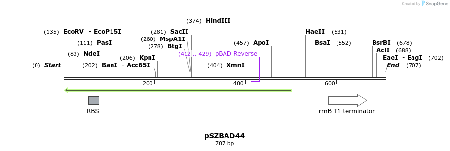 22488_map