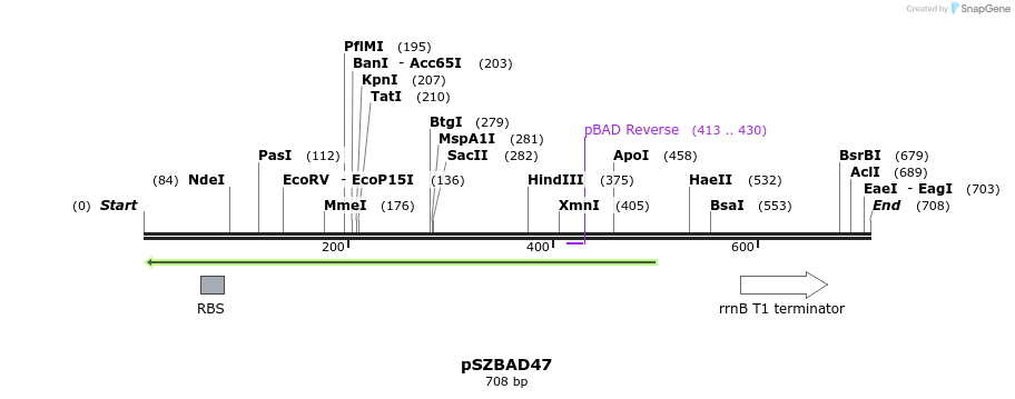 22489_map