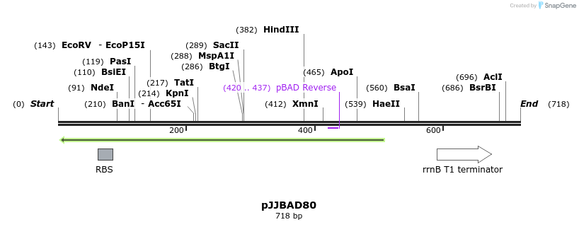 22490_map