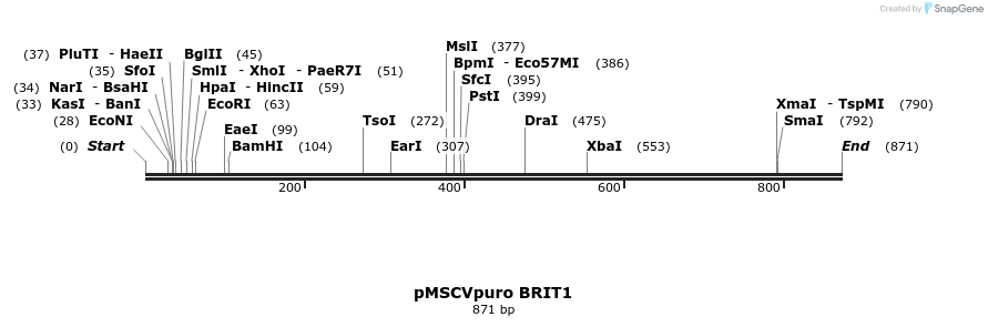 22491_map