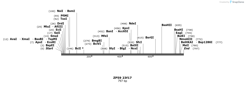 22497_map