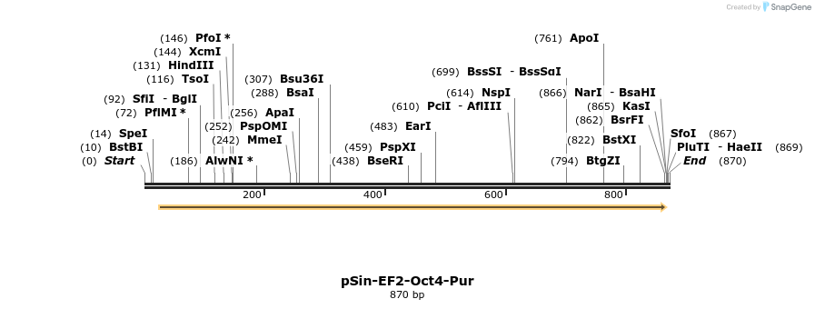 22498_map