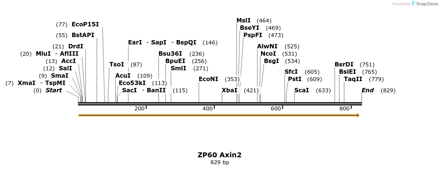 22499_map