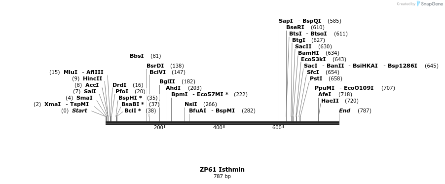 22500_map