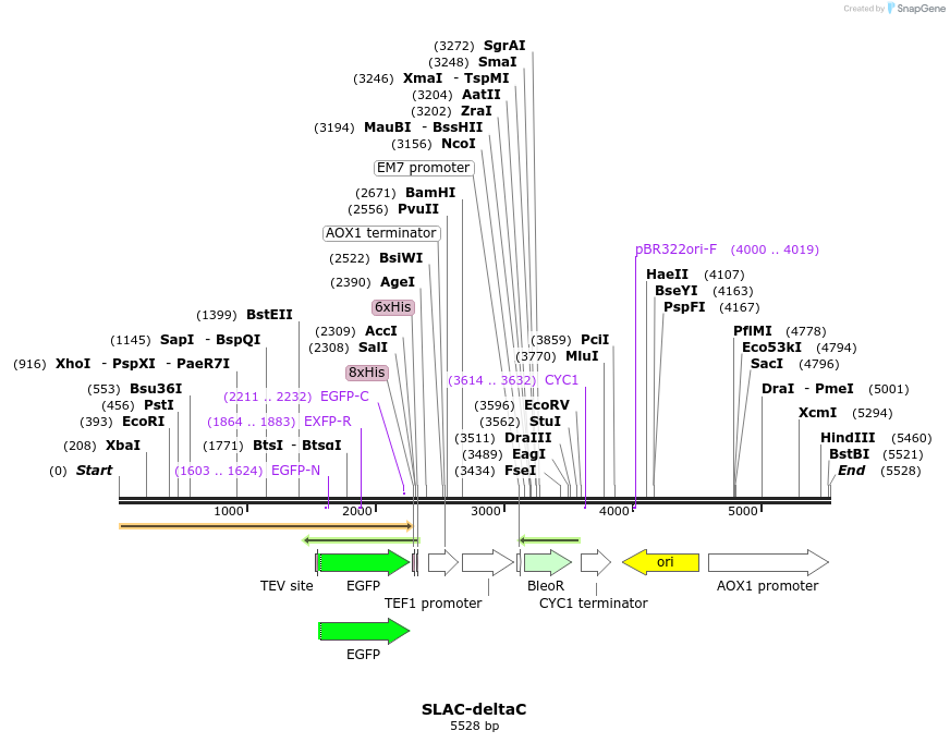 225004_map
