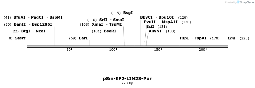 22501_map