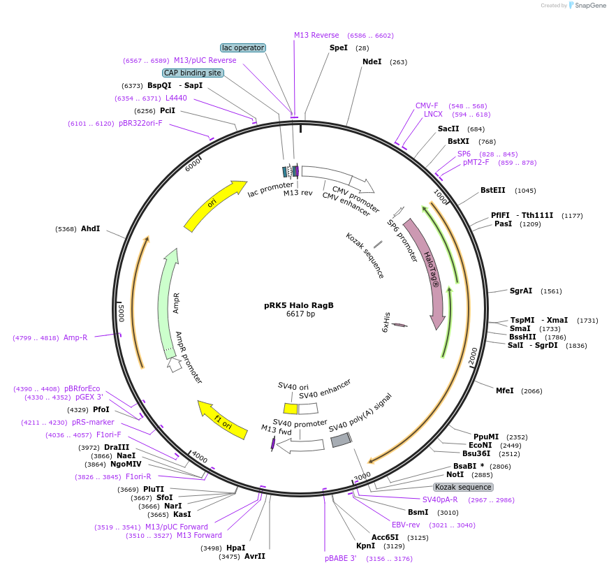 225012_map