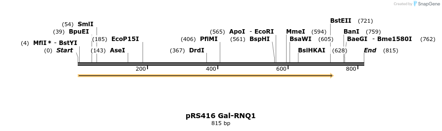 22504_map