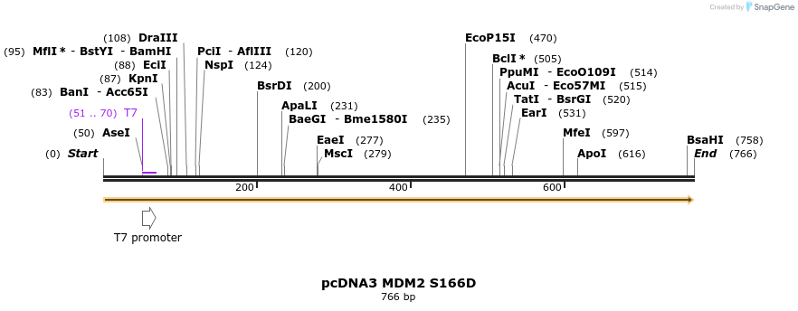 22506_map