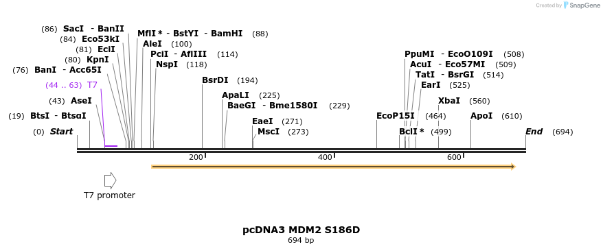 22507_map