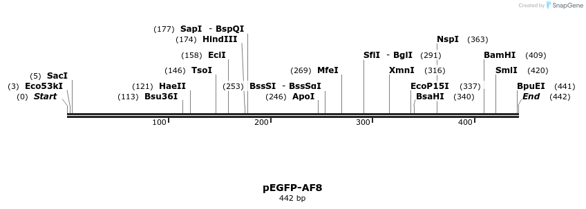 225106_map