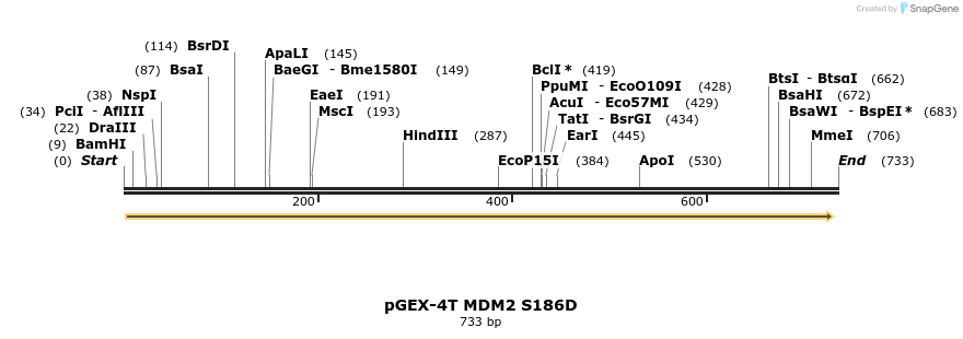 22511_map