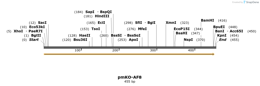 225110_map