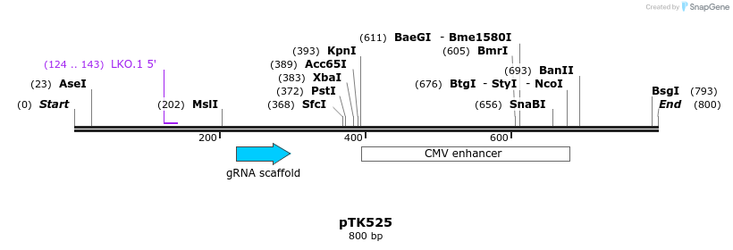 225118_map