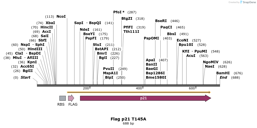22513_map