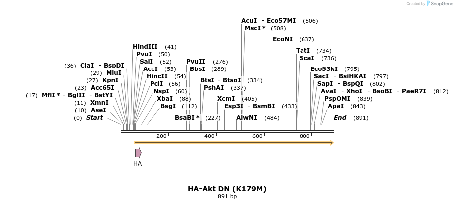 22515_map
