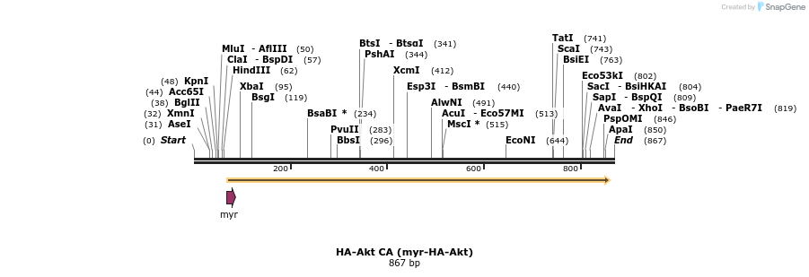 22517_map