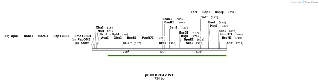 22519_map