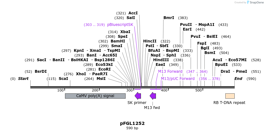 225234_map