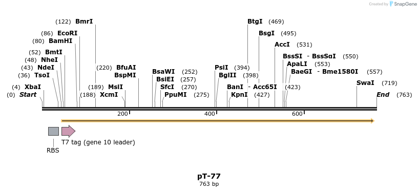 22525_map
