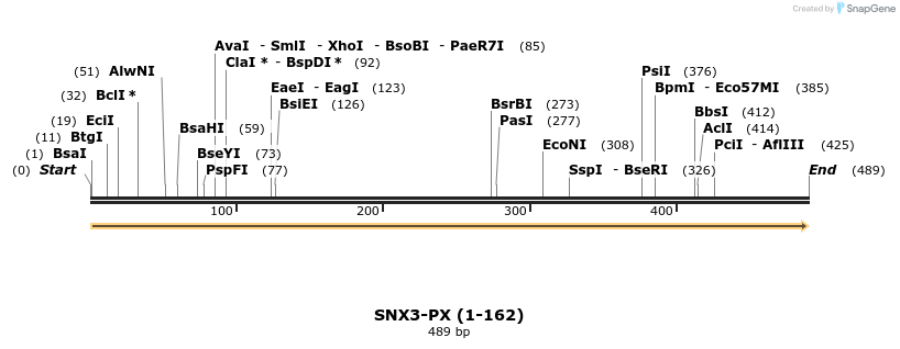 225261_map