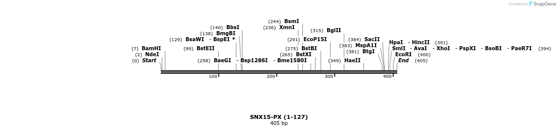 225272_map