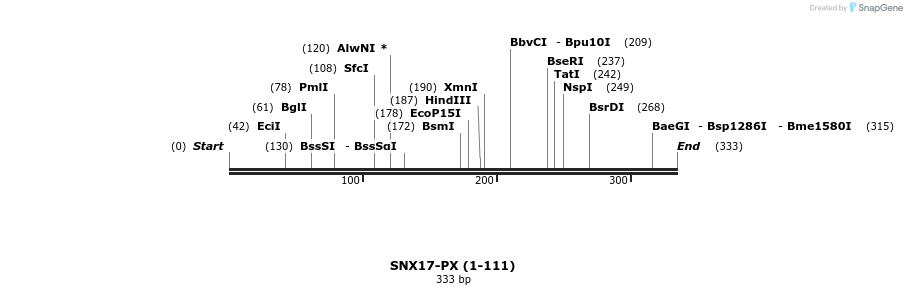 225274_map