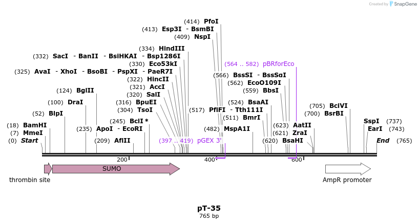 22531_map