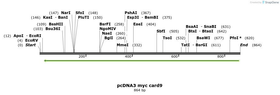 22533_map