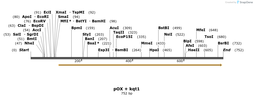 22538_map