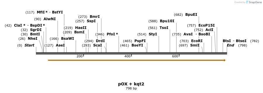 22539_map
