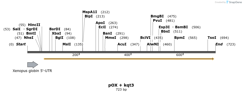 22540_map