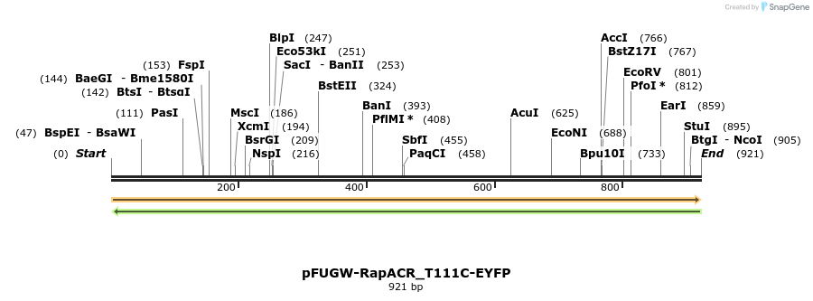 225441_map